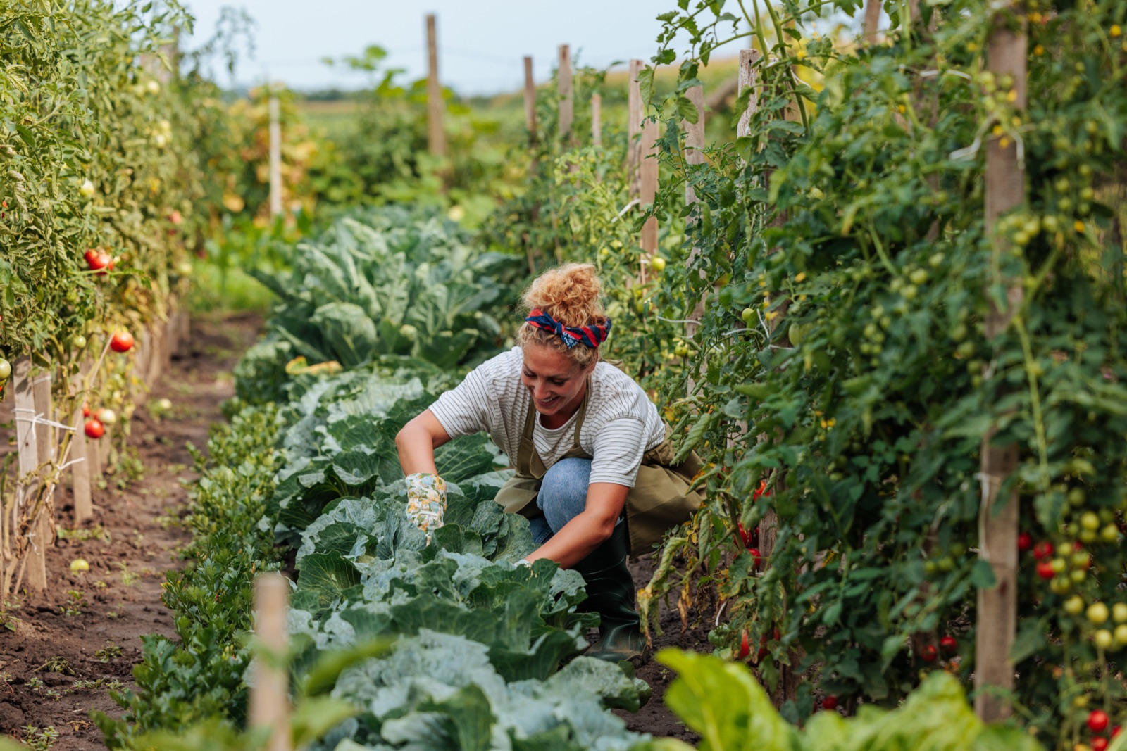 A woman harvesting vegetables in her garden